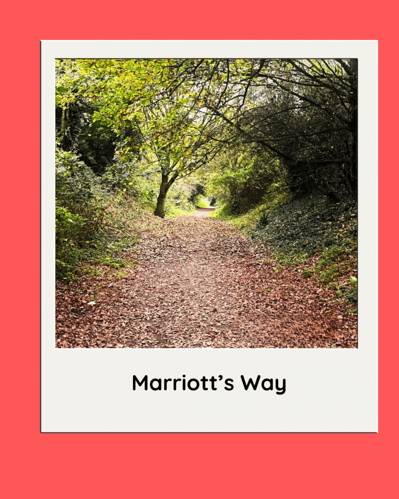 Marriott's Way Norfolk UK
Autumn Image with leaves on the footpath
