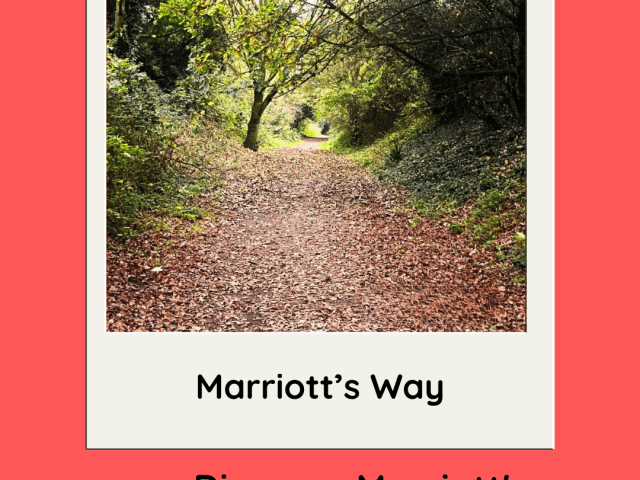 Discover Marriott’s Way in Norfolk