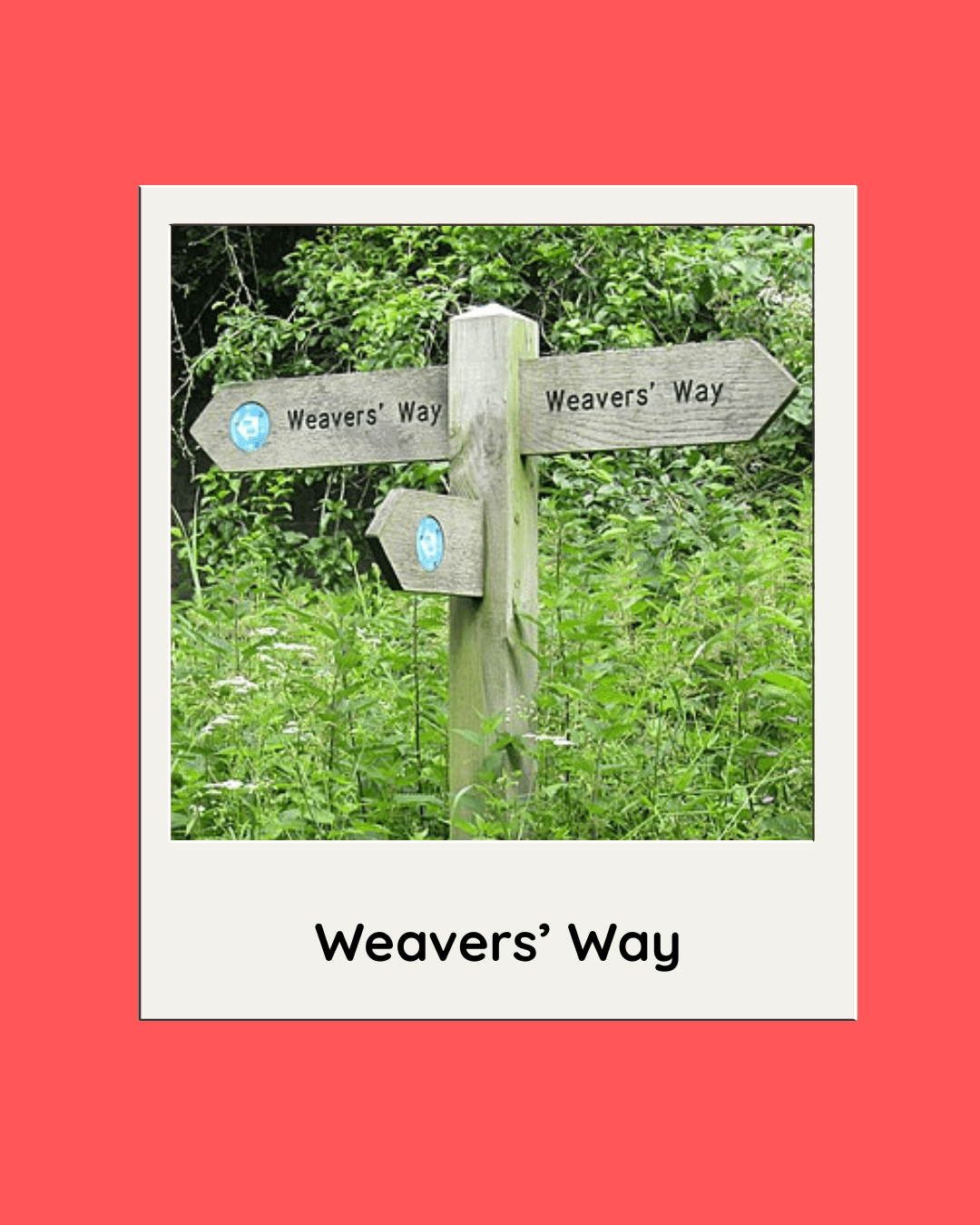 Discover Weavers’ Way Norfolk: A Scenic Adventure for Walkers, Cyclists, and Nature Lovers