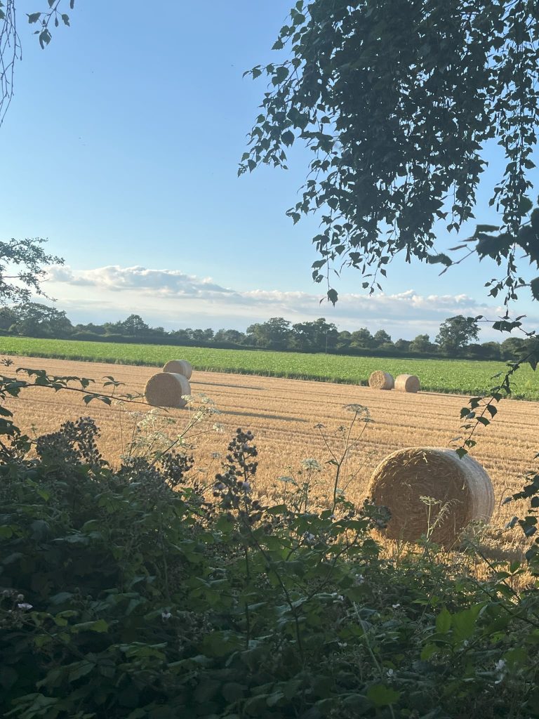 Countryside View in Norfolk UK. Big Blue Skies, Hales Round Bales in Field.